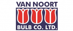 Van Noort Bulb